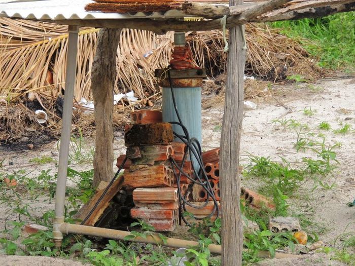 O melhor investimento com retorno certo - Imagem 23