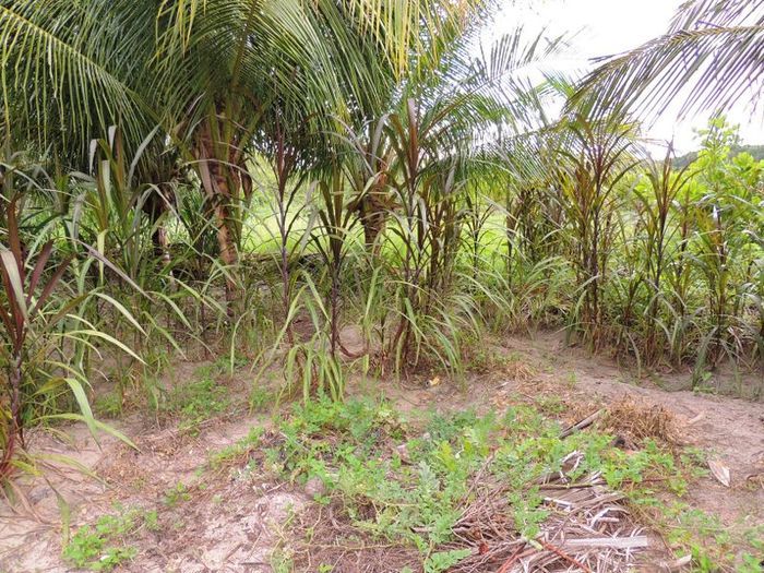 O melhor investimento com retorno certo - Imagem 31