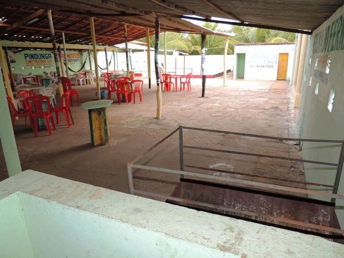 O melhor investimento com retorno certo - Imagem 3