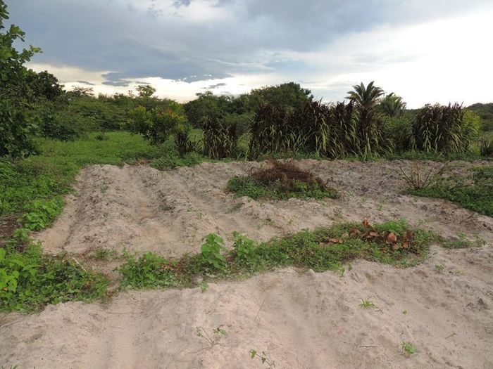 O melhor investimento com retorno certo - Imagem 42