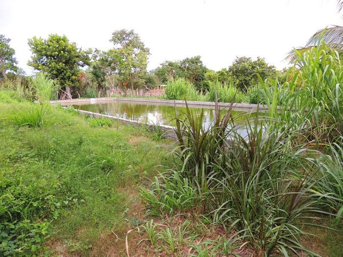 O melhor investimento com retorno certo - Imagem 46