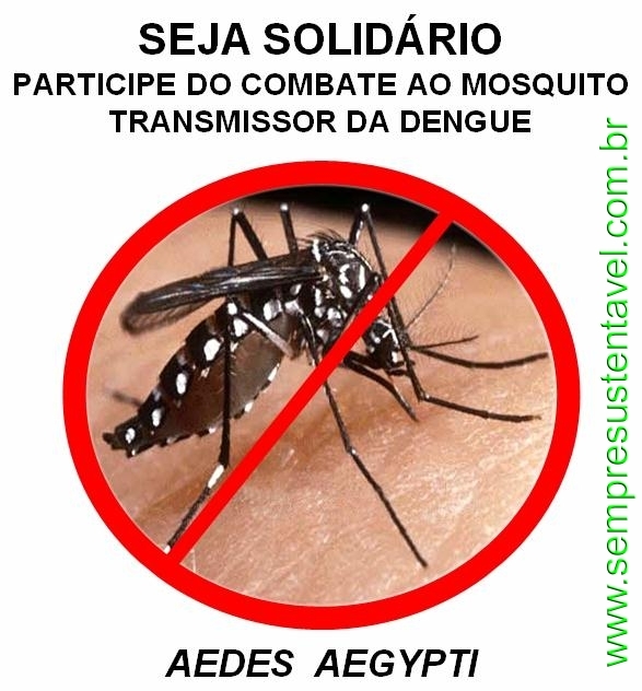 Agentes do setor de endemias farão mobilização contra a dengue e chikungunya na cidade - Imagem 1