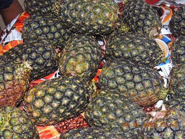 Associação de Canafistula aposta na agroindústria - Imagem 9