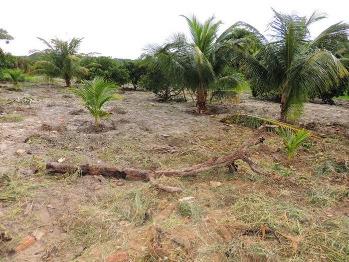 O melhor investimento com retorno certo - Imagem 36