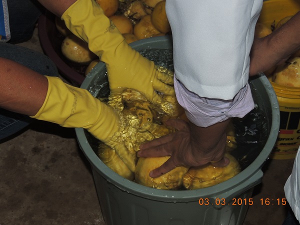 Associação de Canafistula aposta na agroindústria - Imagem 13