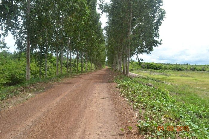 Começa plantio de Soja na Fazenda São Luiz, em Boa Hora. - Imagem 1