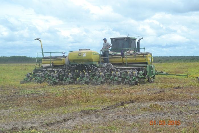 Começa plantio de Soja na Fazenda São Luiz, em Boa Hora. - Imagem 12