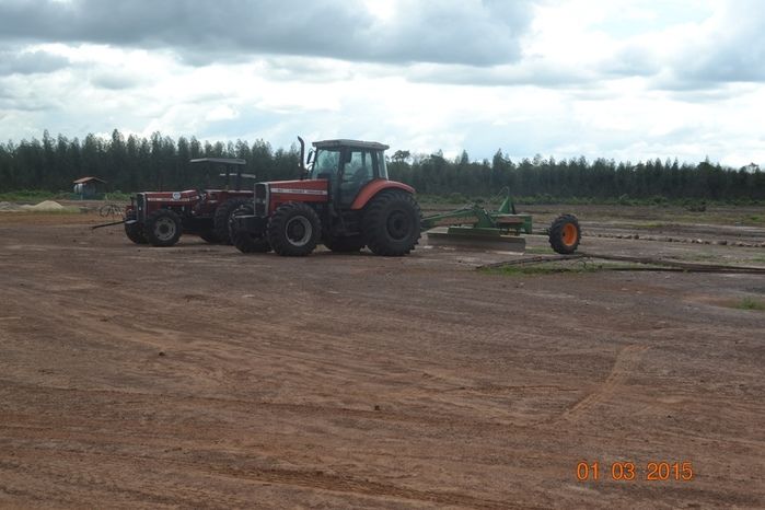 Começa plantio de Soja na Fazenda São Luiz, em Boa Hora. - Imagem 20