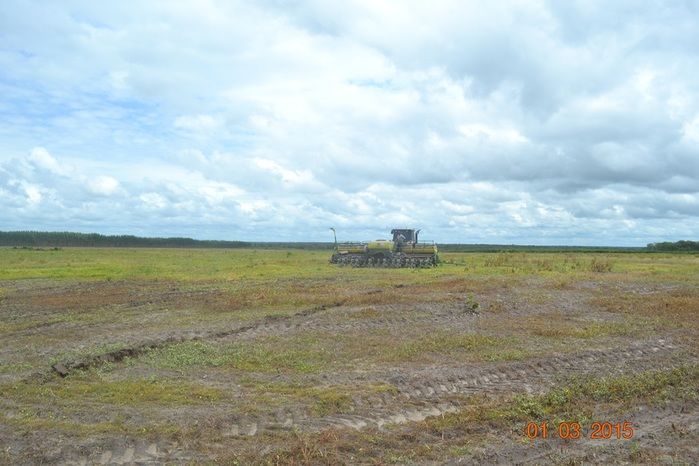 Começa plantio de Soja na Fazenda São Luiz, em Boa Hora. - Imagem 13