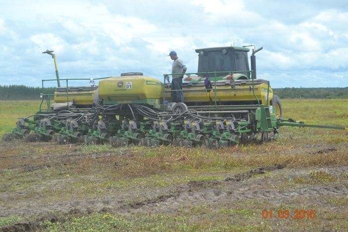 Começa plantio de Soja na Fazenda São Luiz, em Boa Hora. - Imagem 11