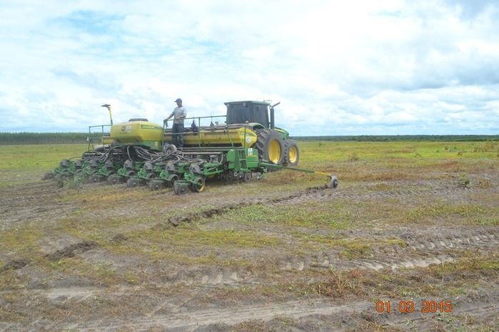 Começa plantio de Soja na Fazenda São Luiz, em Boa Hora. - Imagem 9