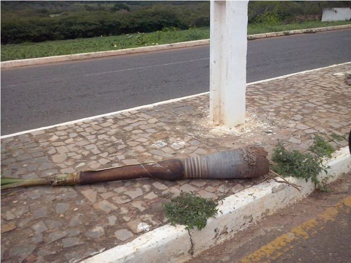 Vândalos quebram árvores em Dom Expedito Lopes (PI) - Imagem 6