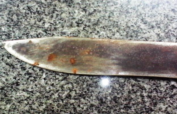 Briga de vizinhos termina com um ferido a facas na região de Campo Maior - Imagem 3