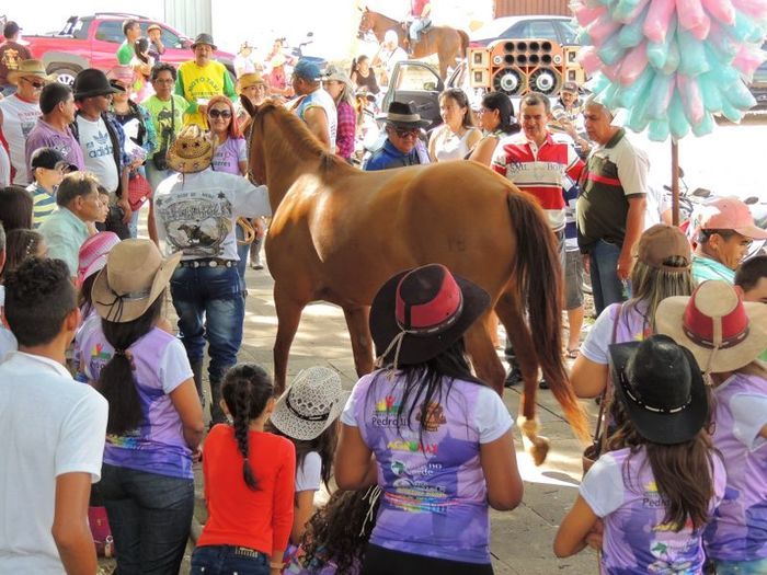 Cavalgada das mulheres tem participação de mulheres de outras cidades - Imagem 13