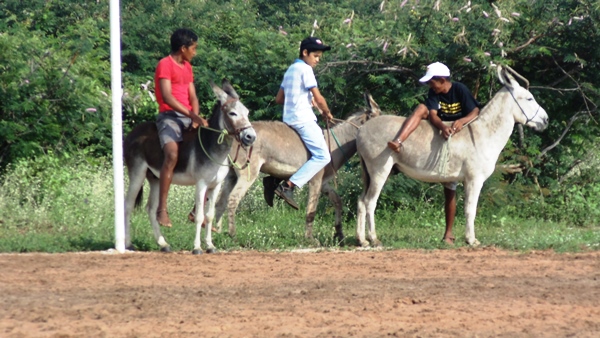 Veja a programação do aniversário de 51 anos de emancipação política de Santo Inácio do Piauí - Imagem 10