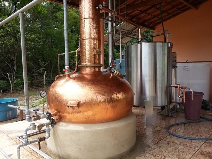 Prefeito Zé Resende assina contrato com a Embrapa, para instalação de Microdestilaria em Boa Hora - Imagem 1