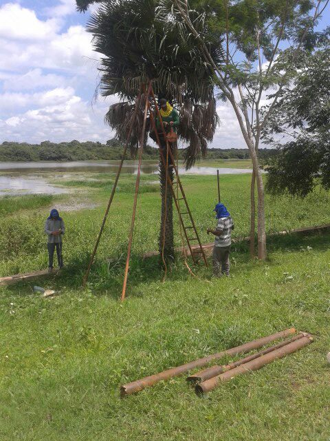 Prefeitura de Barras dá andamento ao processo de revitalização da Orla do Rio Marataoan - Imagem 6