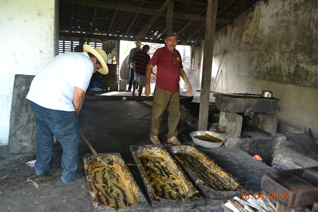 Embrapa realiza encontro em Boa Hora para implantar Microdestilaria - Imagem 8