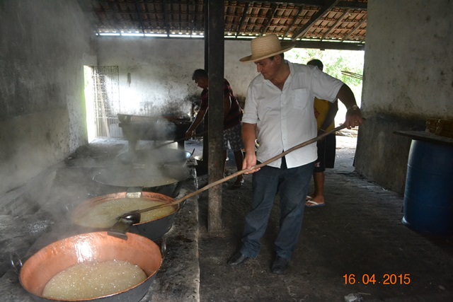 Embrapa realiza encontro em Boa Hora para implantar Microdestilaria - Imagem 11
