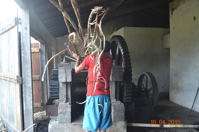 Embrapa realiza encontro em Boa Hora para implantar Microdestilaria - Imagem 9