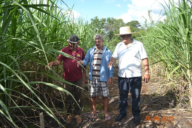 Embrapa realiza encontro em Boa Hora para implantar Microdestilaria  - Imagem 13