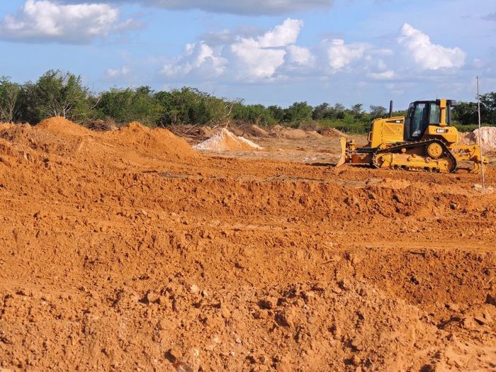 O sonho que virou realidade em Pedro II - Imagem 3