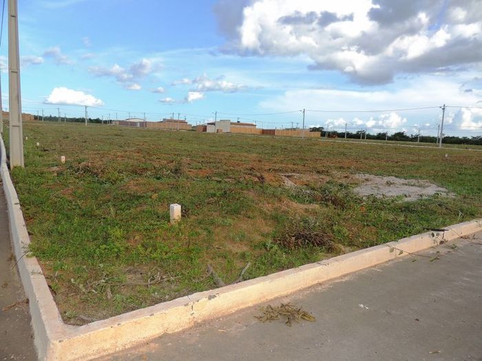 O sonho que virou realidade em Pedro II - Imagem 29