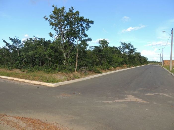 O sonho que virou realidade em Pedro II - Imagem 33