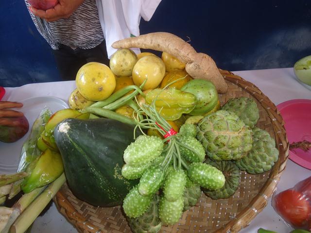 Encerramento dos Cursos do Pronatec Campo em Ipiranga - Imagem 60