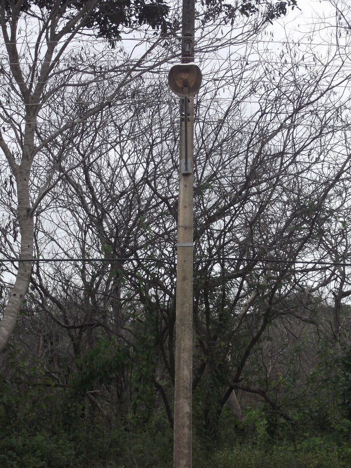 Ações da Administração Pública em Regeneração-PI - Imagem 1