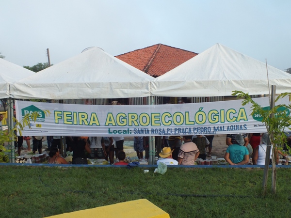 Santa Rosa do Piauí realiza 1ª Feira Agroecológica com produtores do município - Imagem 11