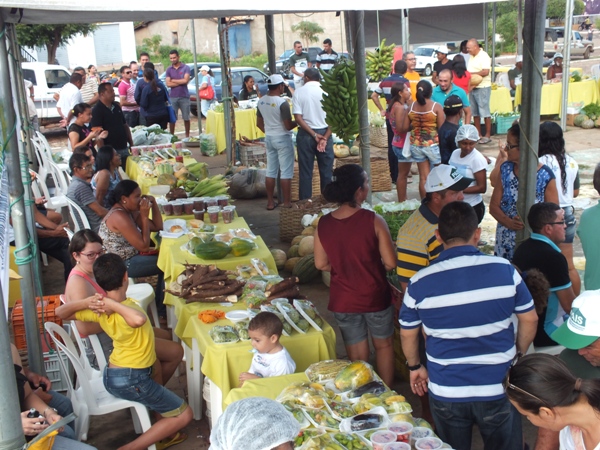 Santa Rosa do Piauí realiza 1ª Feira Agroecológica com produtores do município - Imagem 23