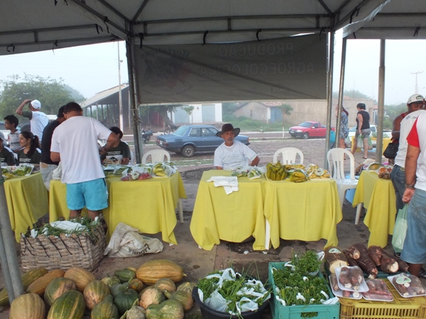 Santa Rosa do Piauí realiza 1ª Feira Agroecológica com produtores do município - Imagem 1