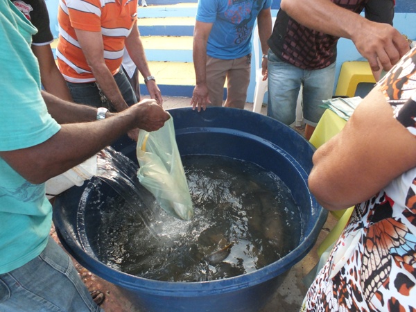 Santa Rosa do Piauí realiza 1ª Feira Agroecológica com produtores do município - Imagem 6