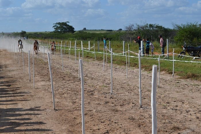 Corrida de Cavalos anima tarde do primeiro dia de festejos em Alegrete e “Adora Alegrete” encerra a noite - Imagem 12