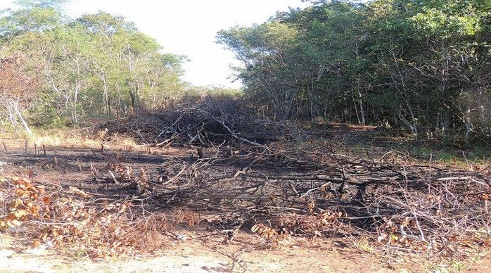 Lançado Loteamento Rural Opalas do Cabral - Imagem 11