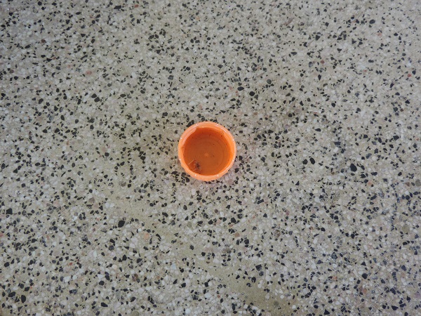 Monsenhor Gil realizou campanha de combate à dengue - Imagem 29