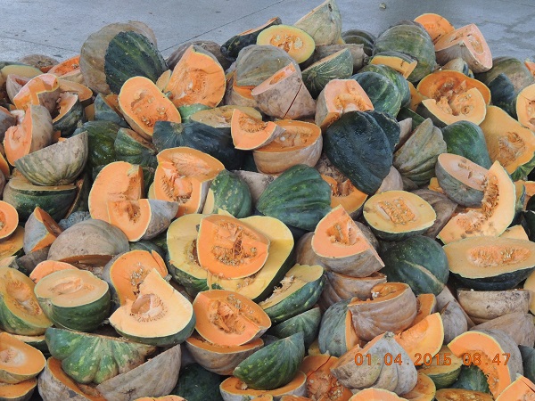 Prefeitura de Monsenhor Gil, realiza distribuição de cestas básicas  - Imagem 5