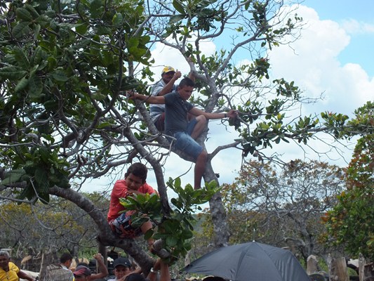 Aniversário de 51 ANOS de Emancipação política de Dom Expedito Lopes - Imagem 10