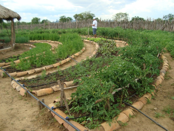 Prefeitura de Santa Rosa realizará Feira Agroecológica no dia 25 de abril - Imagem 1