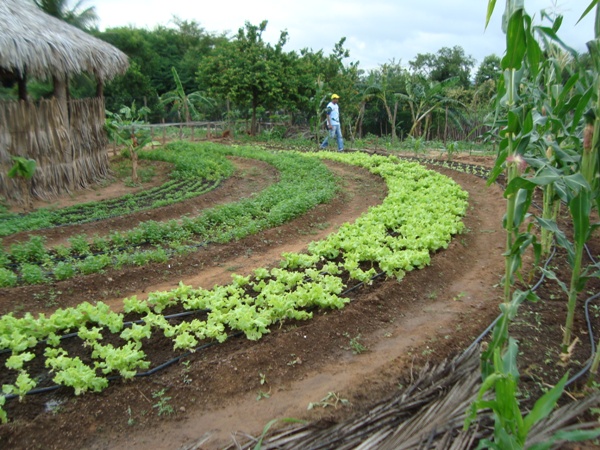 Prefeitura de Santa Rosa realizará Feira Agroecológica no dia 25 de abril - Imagem 5
