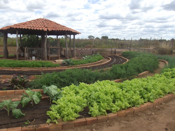 Prefeitura de Santa Rosa realizará Feira Agroecológica no dia 25 de abril - Imagem 7