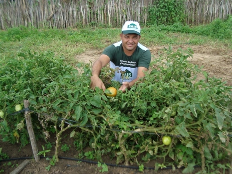 Prefeitura de Santa Rosa realizará Feira Agroecológica no dia 25 de abril