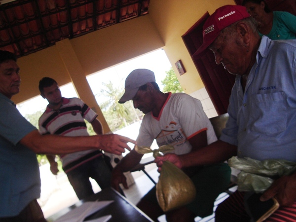 Prefeitura de Cajueiro entrega sementes de milho e feijão para agricultores do Município - Imagem 4