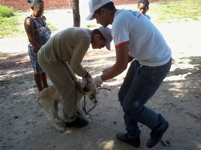 Agentes de Endemias fazem teste rápido em cães na zona rural - Imagem 2