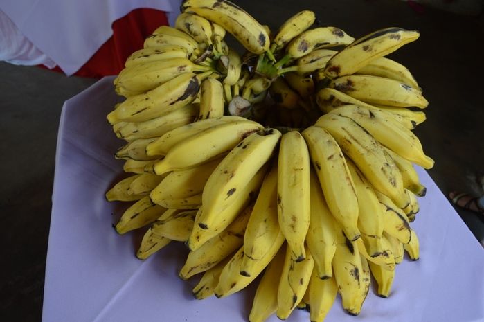 Paróquia Sagrado Coração de Jesus realiza café para as Mães  - Imagem 1