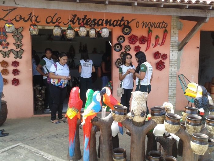 Projeto da Escola Roque Alencar leva alunos ao Parque Zoobotânico em Teresina - Imagem 6