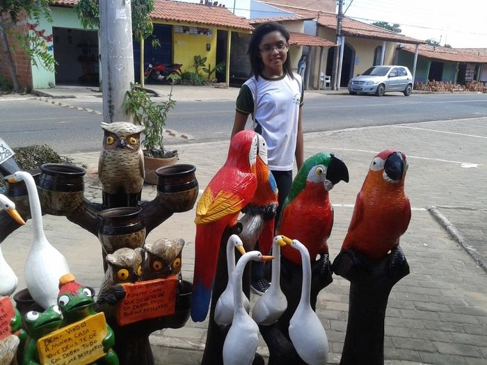 Projeto da Escola Roque Alencar leva alunos ao Parque Zoobotânico em Teresina - Imagem 5