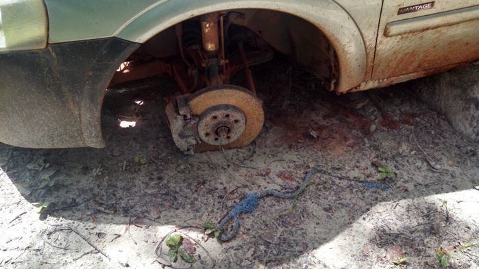 Policia Militar de Boa Hora recupera carro roubado que pertencia ao cantor Wagner Santos - Imagem 4