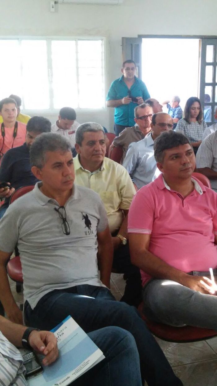 Prefeitos amadurecem ideia de criar o território de desenvolvimento dos Carnaubais - Imagem 9